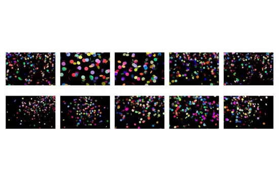 Round Confetti Overlays - 87Y3DMR