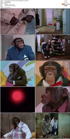 Lancelot Link Secret Chimp S01 NTSC DVDRip DD2 0 H264-BTN