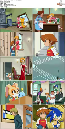 Sonic X 2003 S01 JAPANESE 480p BluRay DD5.1 AVC REMUX