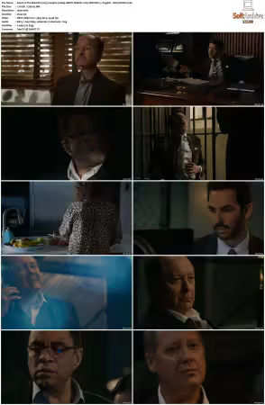 The Blacklist 2013 S09 1080p AMZN WEB-DL x265 SDR DDP 5.1 DarQ HONE