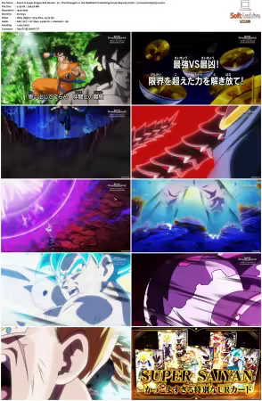 Super Dragon Ball Heroes S01 1080p x264-NOGRP