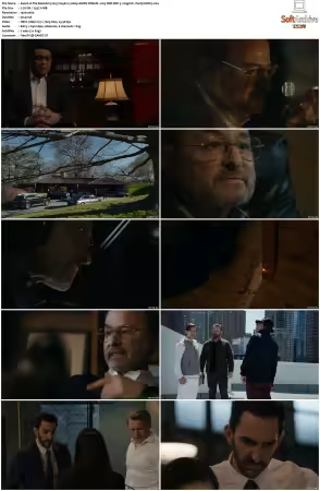 The Blacklist 2013 S09 1080p AMZN WEB-DL x265 SDR DDP 5.1 DarQ HONE