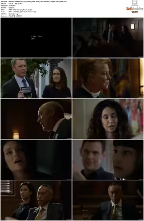 The Blacklist 2013 S06 1080p BluRay x265 SDR DDP 5 1 DarQ HONE