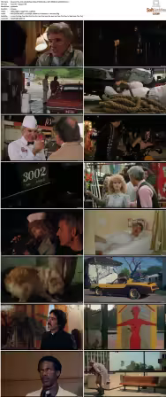 The Jerk 1979 BluRay 1080p DTS-HD MA 5.1 AVC REMUX-FraMeSToR