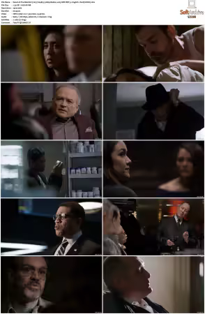 The Blacklist 2013 S04 1080p BluRay x265 SDR DDP 5 1 DarQ HONE