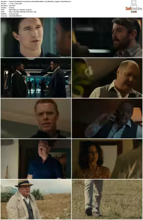 The Blacklist 2013 S10 1080p AMZN WEB-DL x265 SDR DDP 5 1 English - DarQ HONE
