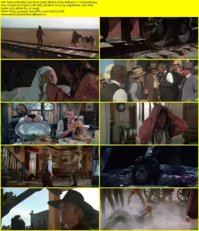 Buddy Goes West 1981 BluRay H264 DolbyD 5.1 nickarad
