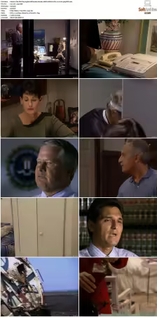 The .BI Files S03 AMZN WEB-DL DD+2 0 H 264-playWEB