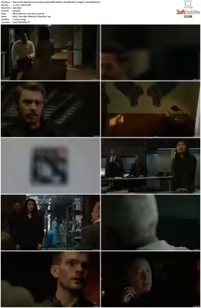 The Blacklist 2013 S09 1080p AMZN WEB-DL x265 SDR DDP 5.1 DarQ HONE