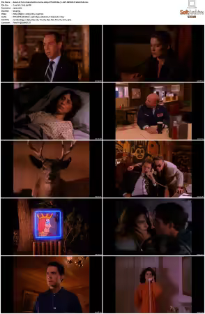 Twin Peaks S02 BluRay 1080p DTS-HD MA 71 AVC REMUX-FraMeSToR