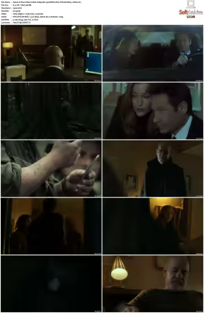 The X-Files S11 1080p Blu-ray REMUX AVC DTS-HD MA5.1-HDH