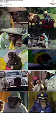 Lancelot Link Secret Chimp S01 NTSC DVDRip DD2 0 H264-BTN