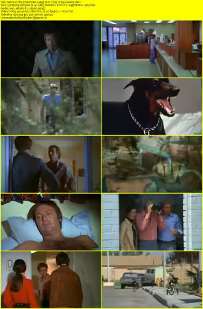 The Doberman Gang 1972 720p x264-Classics