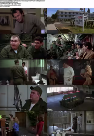 Stripes 1981 Extended 1080p Bluray OPUS 7.1 AV1-WhiskeyJack