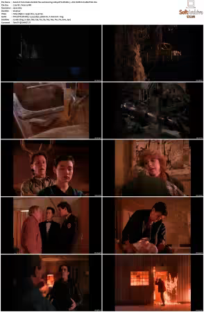 Twin Peaks S01 BluRay 1080p DTS-HD MA 7 1 AVC REMUX-FraMeSToR
