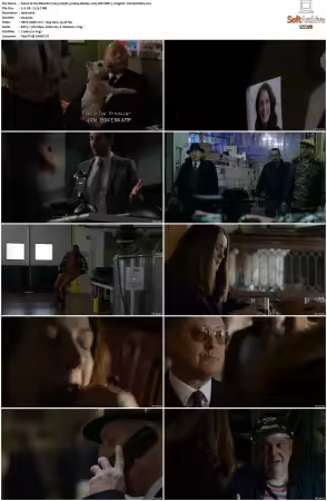 The Blacklist 2013 S05 1080p BluRay x265 DDP 5 1 - DarQ HONE