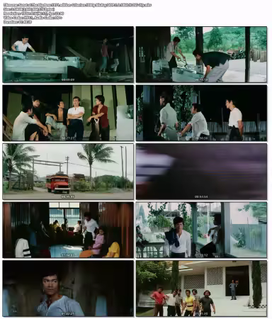 The Big Boss 1971 edition-Criterion 1080p BluRay DDP 1.0 10bit H265-iVy