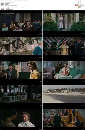 Peyton Place 1957 1080p BRRip AAC5.1 h264-XBiTs