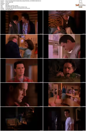Twin Peaks S02 BluRay 1080p DTS-HD MA 71 AVC REMUX-FraMeSToR