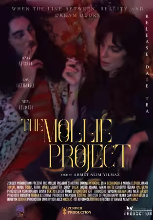 The Mollie Project 2025 720p WEBRip x264 AAC-LAMA