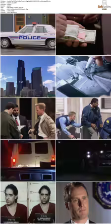 The .BI Files S03 AMZN WEB-DL DD+2 0 H 264-playWEB