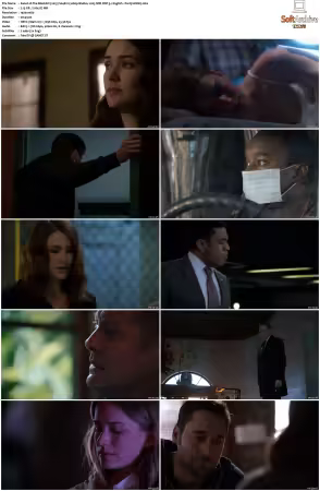 The Blacklist 2013 S04 1080p BluRay x265 SDR DDP 5 1 DarQ HONE