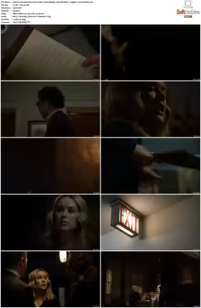 The Blacklist S03 1080p BluRay x265 DDP 5 1 English - DarQ HONE