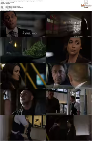 The Blacklist 2013 S04 1080p BluRay x265 SDR DDP 5 1 DarQ HONE