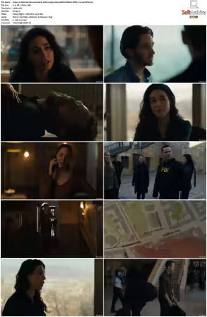 FBI International S04 1080p AMZN WEB-DL DDP5.1 H264-NTb