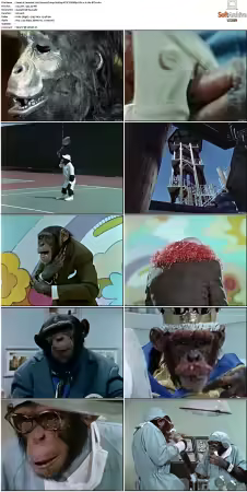 Lancelot Link Secret Chimp S01 NTSC DVDRip DD2 0 H264-BTN