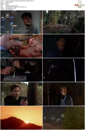 The X-Files S01 1080p Blu-ray REMUX AVC DTS-HD MA5.1-HDH