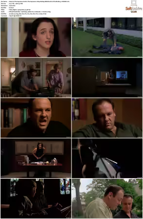 The Sopranos S01 1080p BluRay REMUX AVC DTS-HD MA 5.1-NOGRP