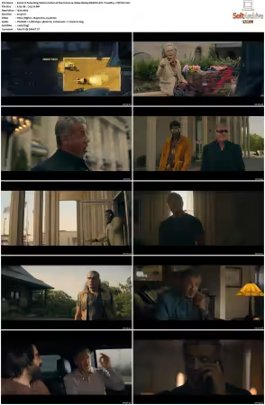 Tulsa King S01 1080p BluRay REMUX AVC TrueHD 5.1-TRiToN