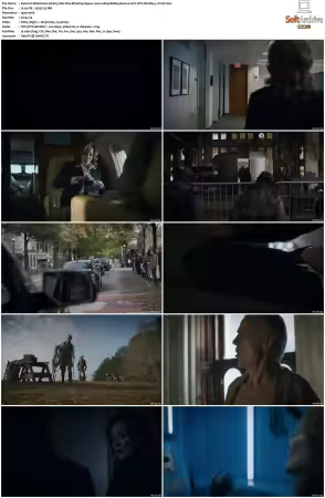 Watchmen S01 1080p BluRay Remux AVC DTS-HD MA 5.1-PmP