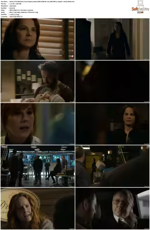 The Blacklist 2013 S09 1080p AMZN WEB-DL x265 SDR DDP 5.1 DarQ HONE