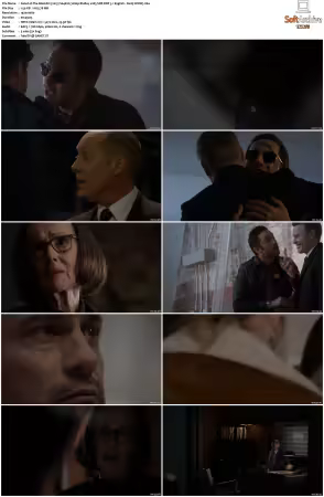 The Blacklist 2013 S04 1080p BluRay x265 SDR DDP 5 1 DarQ HONE
