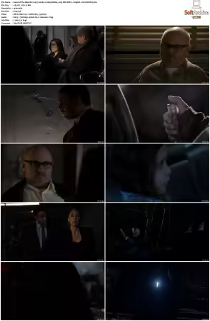 The Blacklist 2013 S02 1080p BluRay x265 SDR DDP 5 1 - DarQ HONE
