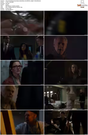 The Blacklist 2013 S04 1080p BluRay x265 SDR DDP 5 1 DarQ HONE