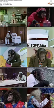 Lancelot Link Secret Chimp S01 NTSC DVDRip DD2 0 H264-BTN