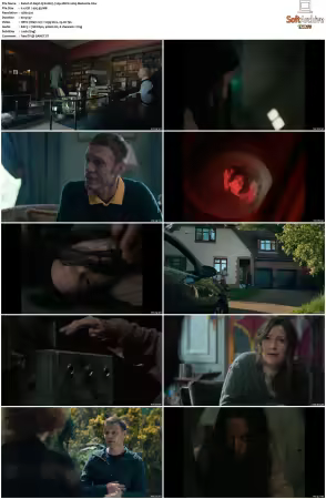 Dept. Q S01 720p HEVC x265-MeGusta