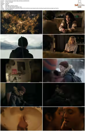 The Last of Us S02 1080p WEB H264-MIXED
