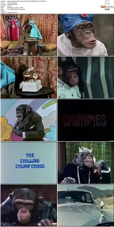 Lancelot Link Secret Chimp S01 NTSC DVDRip DD2 0 H264-BTN