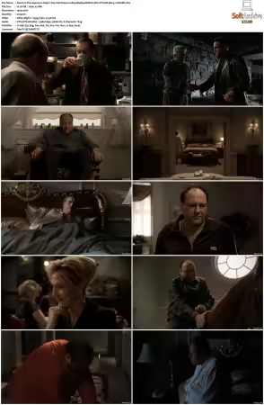 The Sopranos S05 1080p BluRay REMUX AVC DTS-HD MA 5.1-NOGRP