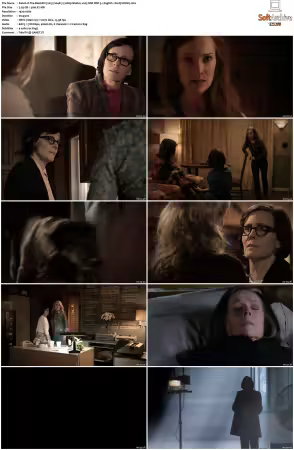 The Blacklist 2013 S04 1080p BluRay x265 SDR DDP 5 1 DarQ HONE