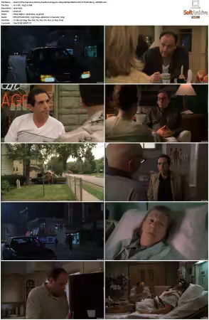 The Sopranos S02 1080p BluRay REMUX AVC DTS-HD MA 5 1-NOGRP