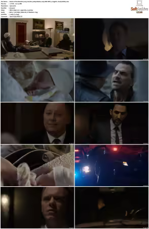 The Blacklist 2013 S07 1080p BluRay x265 SDR DDP 5 1 DarQ HONE