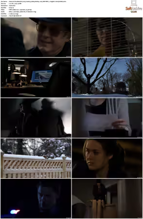The Blacklist 2013 S02 1080p BluRay x265 SDR DDP 5 1 - DarQ HONE