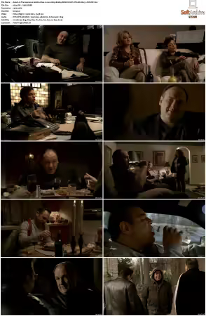 The Sopranos S06 1080p BluRay REMUX AVC DTS-HD MA 5.1-NOGRP