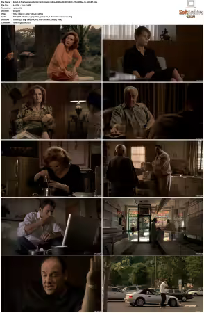 The Sopranos S05 1080p BluRay REMUX AVC DTS-HD MA 5.1-NOGRP