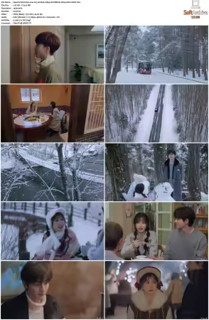 Ski into Love S01 1080p NF WEB-DL H264 AAC-CHIOS